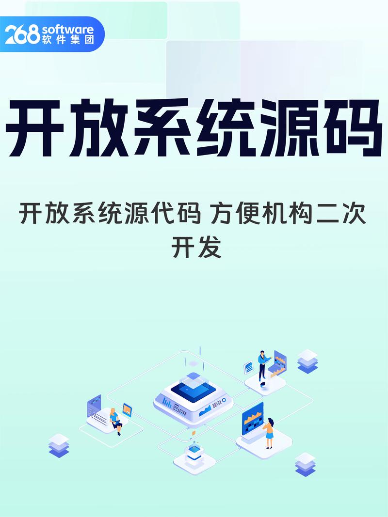 系统二次开发